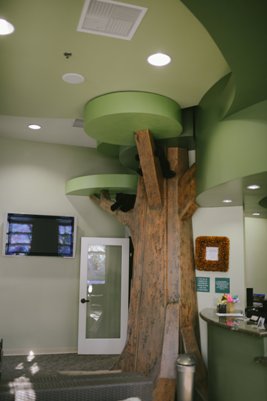 Tree play area at Simi Valley office